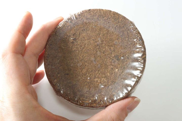 ダイソー 農薬不使用ナチュラル栽培セット ブラックチェリートマト 圧縮土