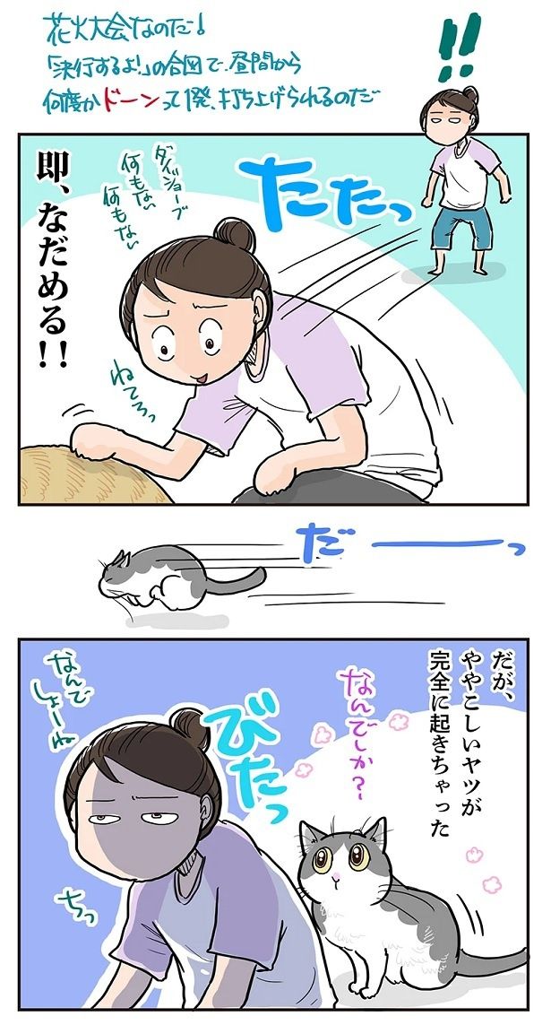 その音の正体は…花火!!