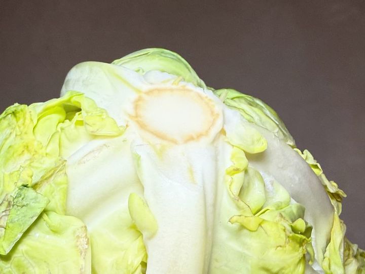 芯が黒ずんでいたり、乾燥して割れているものは鮮度が落ちているサイン