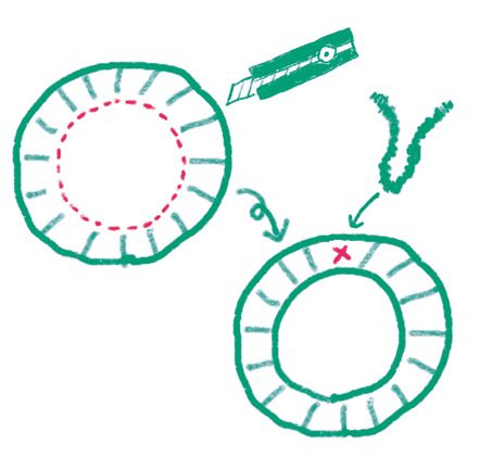 【春の工作】プレゼントにも◎ 指先を使うあそびがたっぷり楽しめる「春を楽しむリース」の作り方の画像2