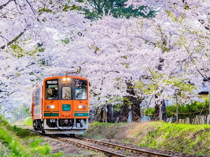 All About ニュース編集部が全国250人を対象に実施した公園に関するアンケートの調査結果から、春に行きたいと思う「青森県の公園」ランキングを発表！ 2位「芦野公園」を抑えた1位は？