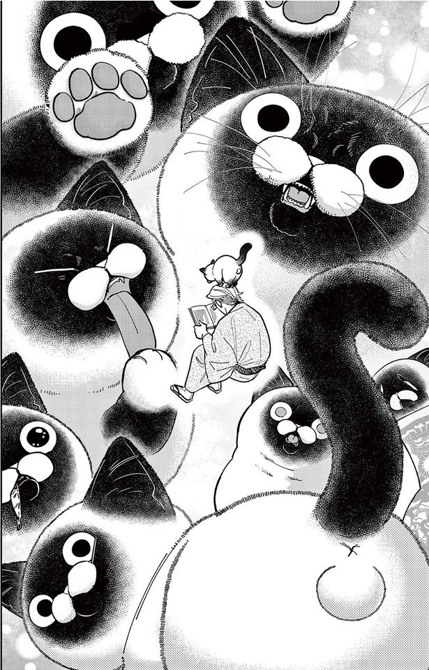 にゃん吉... （C）片倉頼／小学館