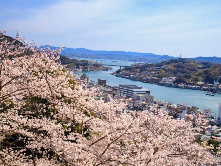 All About ニュース編集部が全国250人を対象に実施した「桜の名所に関するアンケート」の調査結果から、広島で行ってみたい＆好きな桜の名所ランキングを発表！ 同率2位の「千光寺公園」「平和記念公園」を抑えた1位は？