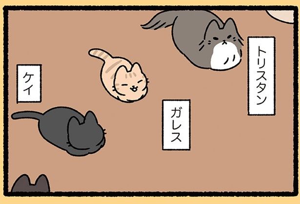 集う円卓の騎士たち？ （C）ぱんだにあ／KADOKAWA