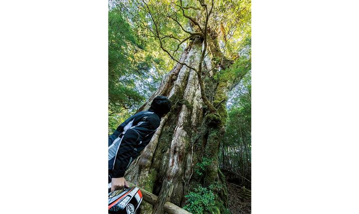 【保存版】一度は愛車で行きたい「日本の離島」5選｜フェリーで渡る非日常のバイク旅