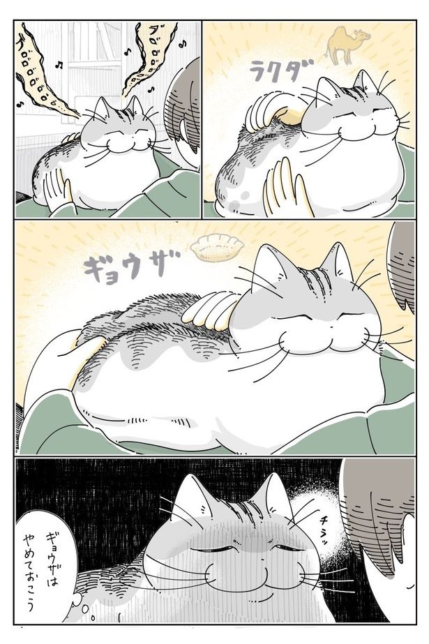 02 画像提供：キュルZ@kyuryuZ