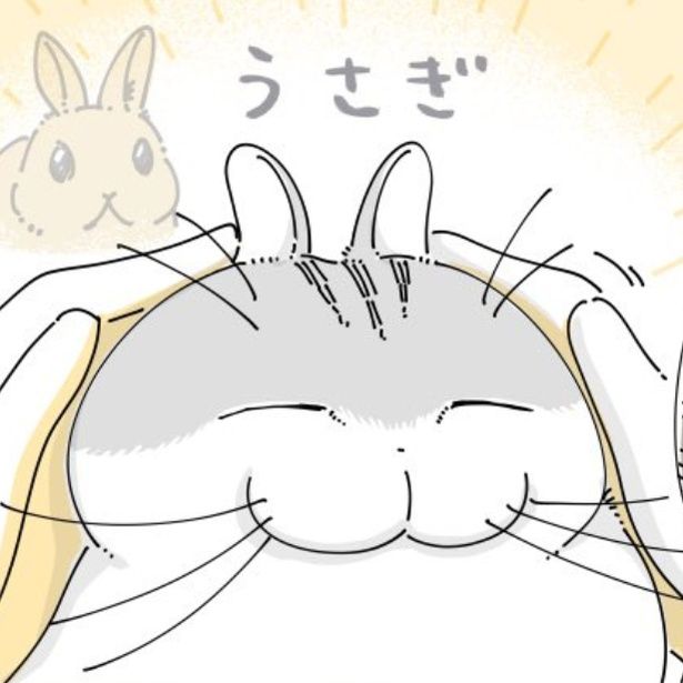 ウサギのように見える猫 画像提供：キュルZ@kyuryuZ