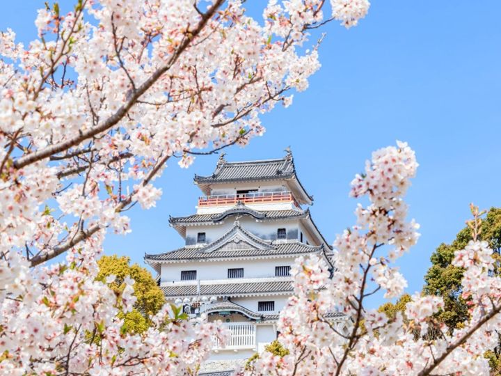 All About ニュース編集部が全国250人を対象に実施した「桜の名所に関するアンケート」の調査結果から、佐賀で行ってみたい＆好きな桜の名所ランキングを発表！ 同率2位「御船山楽園」「唐津城」を抑えた1位は？