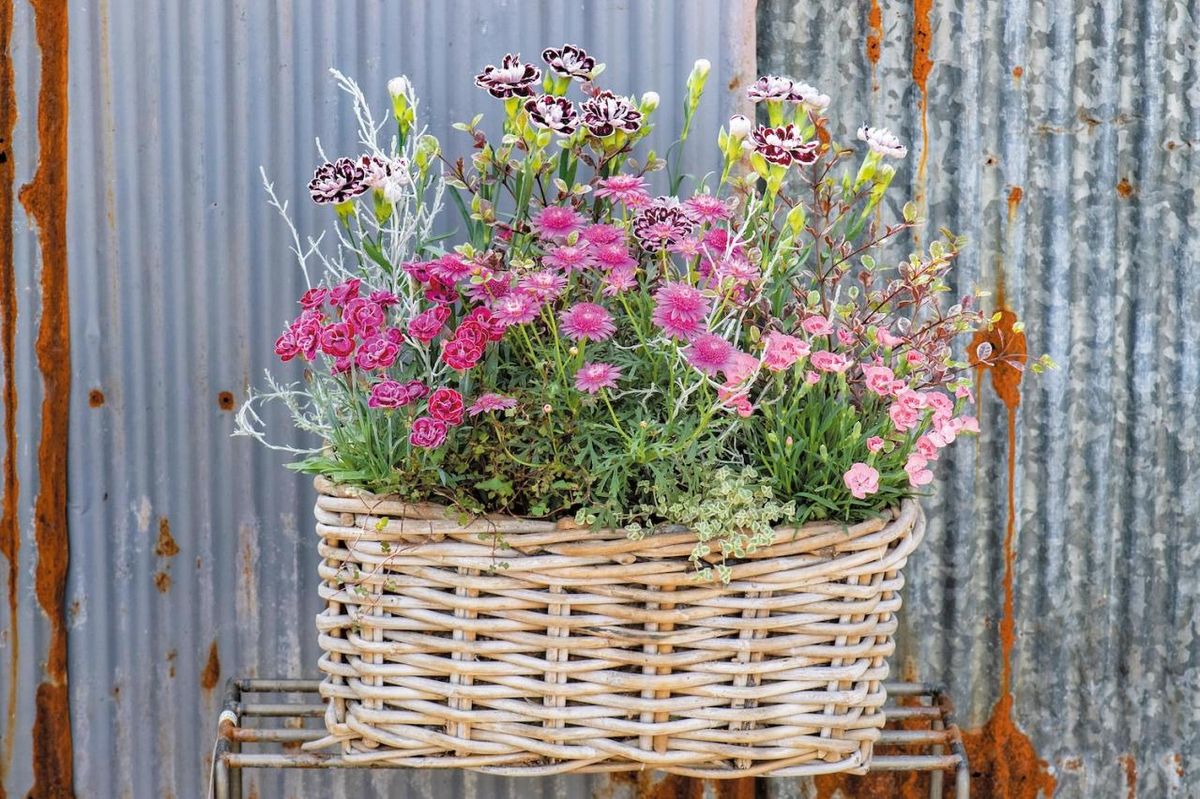 YouTubeで大人気！【オニちゃん】の愛らしいピンクの花で作る「春の