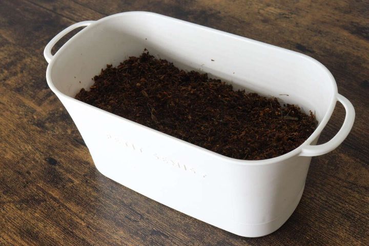 ダイソーのバスケットプランター アイボリーの使用例