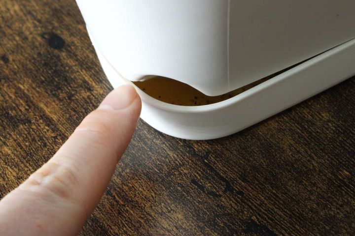 ダイソーのバスケットプランター アイボリーののぞき窓