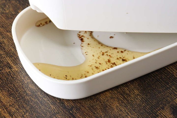 ダイソーのバスケットプランター アイボリーの受け皿