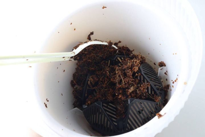 ダイソーの鉢底ネット8cmの使用例