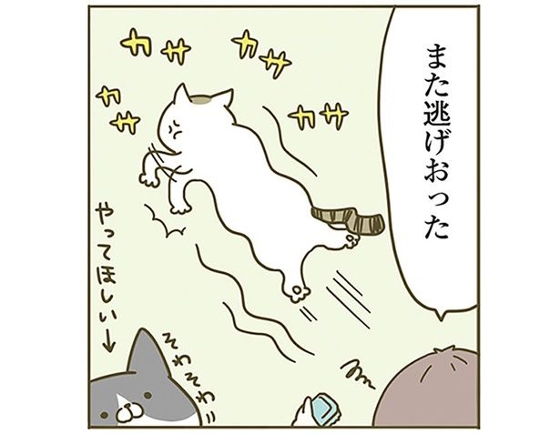 また逃げおった （C）卵山玉子／KADOKAWA
