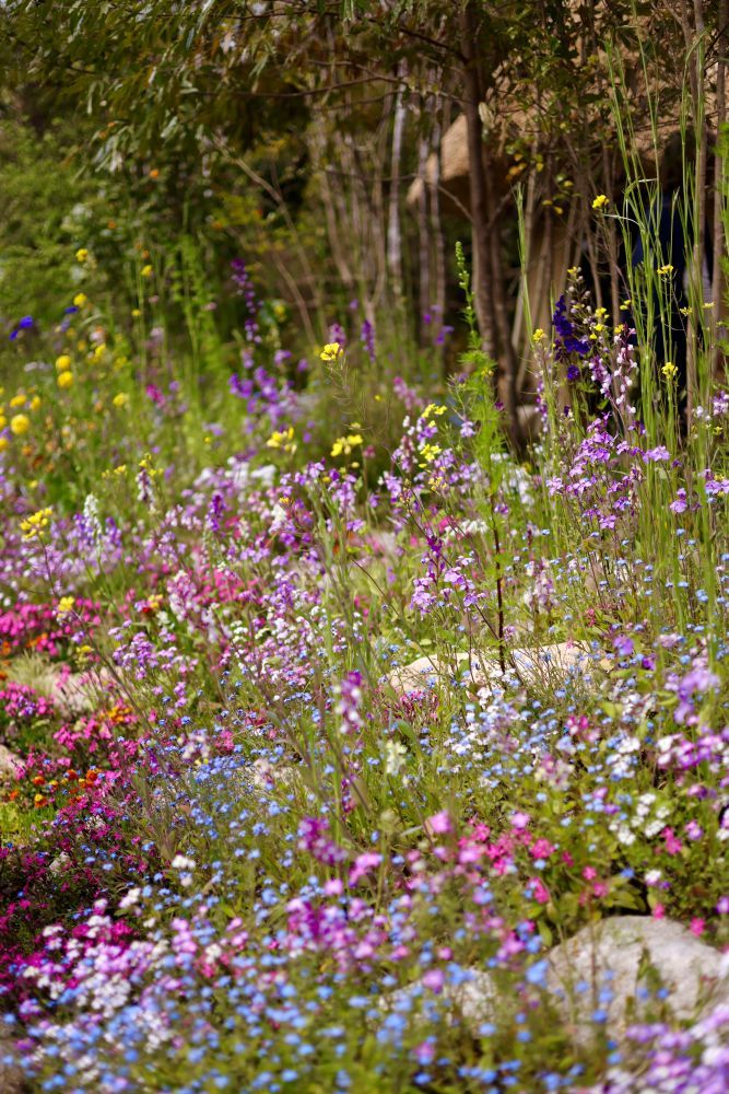 Fukuoka Flower Show 2026