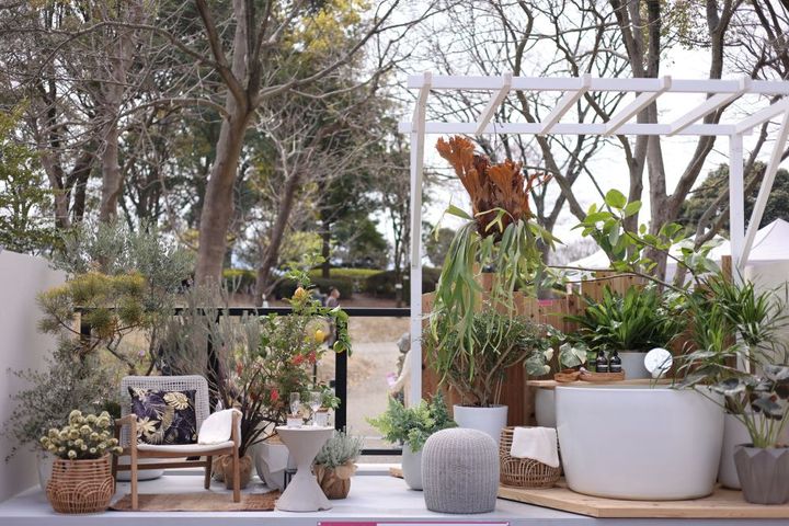 ベランダガーデン