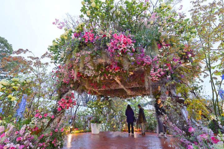 Fukuoka Flower Show 2026
