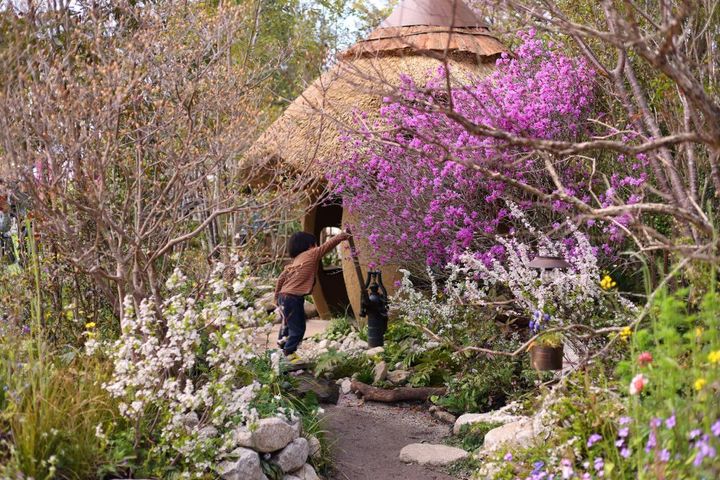Fukuoka Flower Show 2026