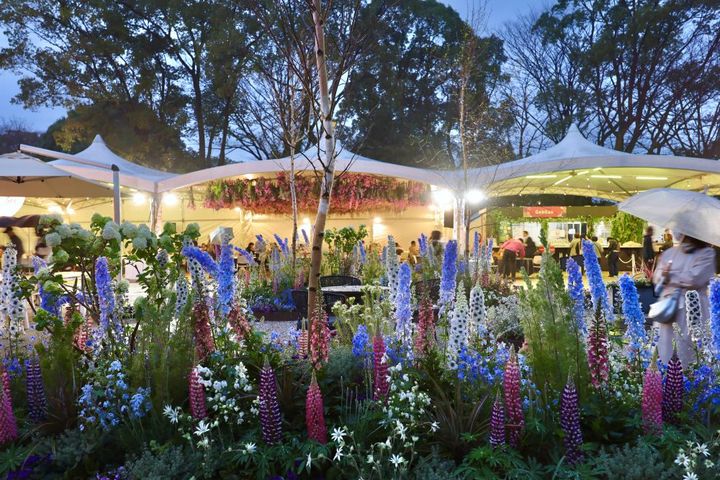 Fukuoka Flower Show 2026