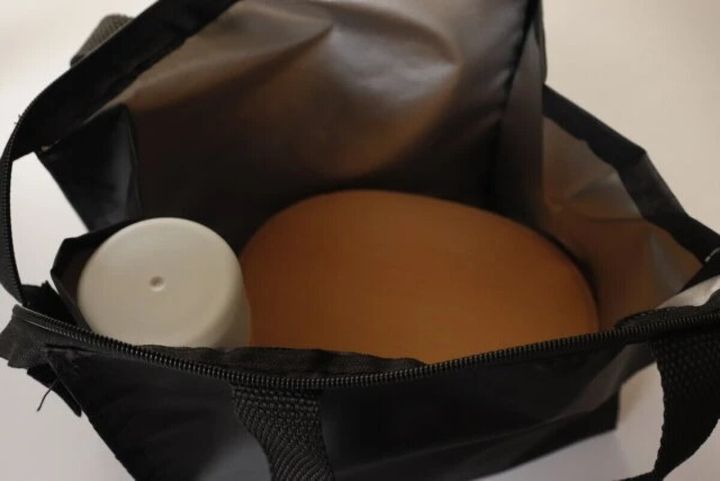 ダイソー 洗えるマチ広ランチバッグ 使用例