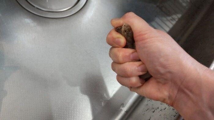 こんにゃくをギュッと絞ると…まるでお肉に！？噂の裏ワザを試してみたら、超絶美味だった。