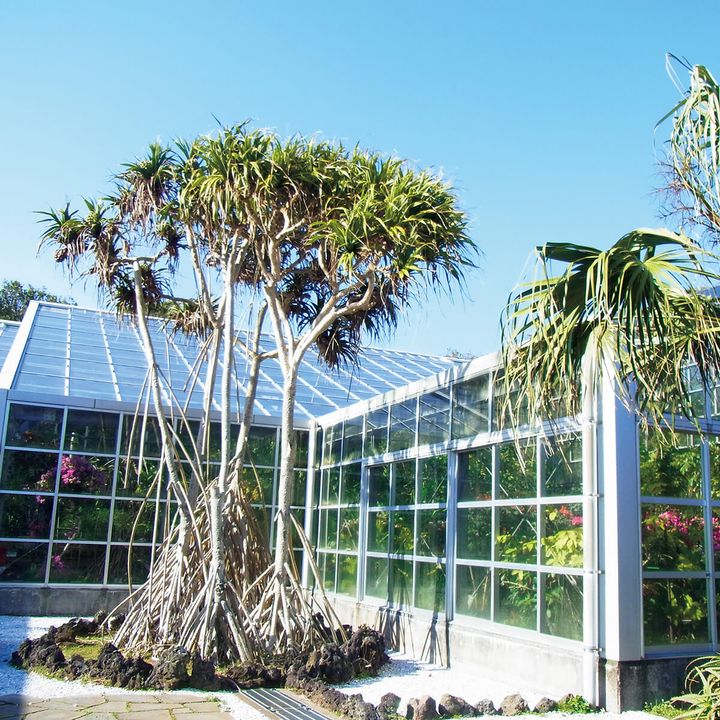 八丈島〈八丈植物公園〉外観