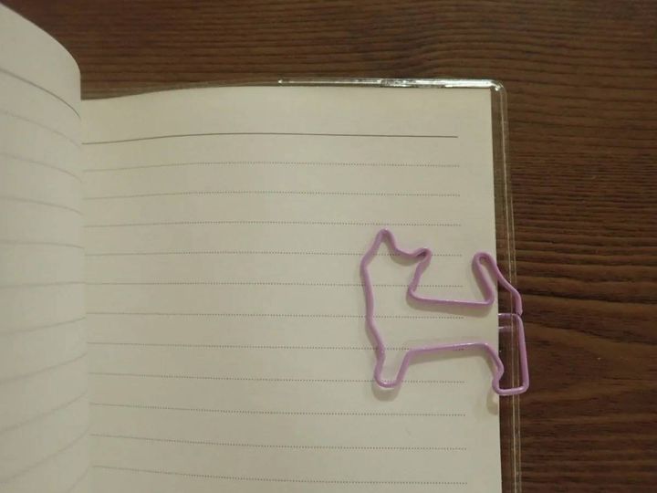 DAISO(ダイソー)：ペーパークリップ(ネコ)