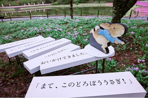 「まて、このどろぼううさぎ！」絵本の名シーンを再現した屋外ギャラリー「ピーターラビット ストーリートレイル」