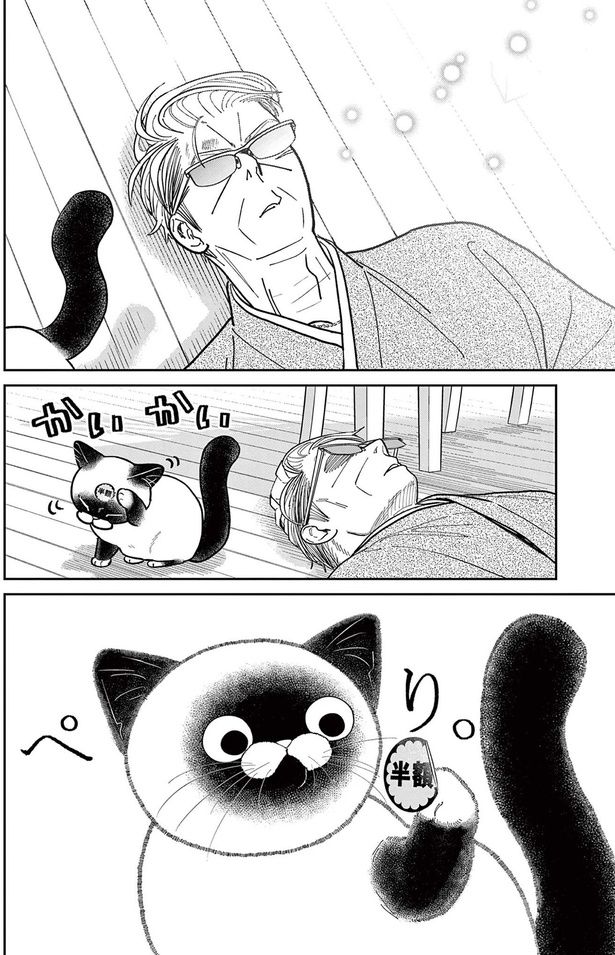 ぺり （C）片倉頼／小学館