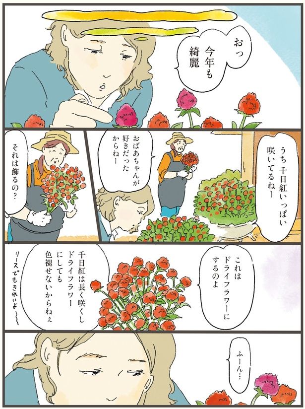 うち千日紅いっぱい咲いてるねー （C）中山有香里／KADOKAWA