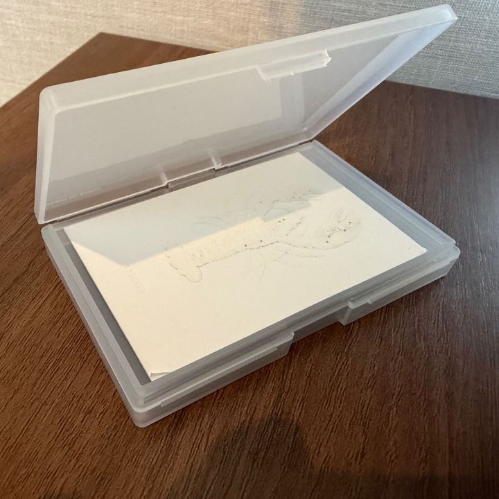 セリアで無印並みのカードケース発見！