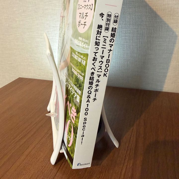 【セリア】ペラペラ書類も分厚い雑誌も倒れない！毎日使える「骨組みクリップ」が便利すぎた