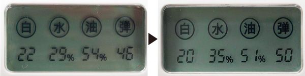 ラ ロッシュ ポゼ スキンチェッカー