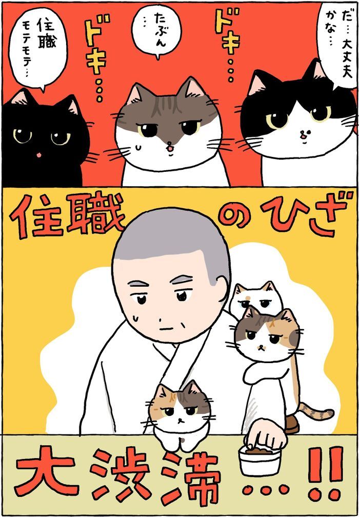 ドキドキハラハラ見守りねこ【てらねこミー子の日常】