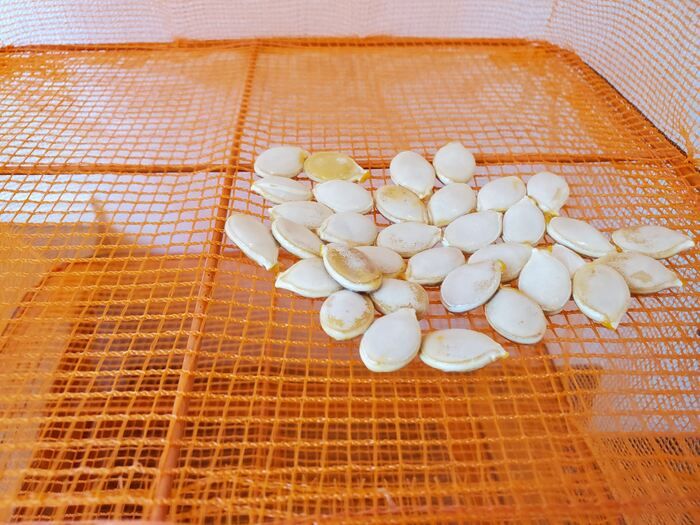 ピーマンのタネ、もう取らなくてOK！？実は丸ごと食べられる♡捨てがちな野菜のタネ3選