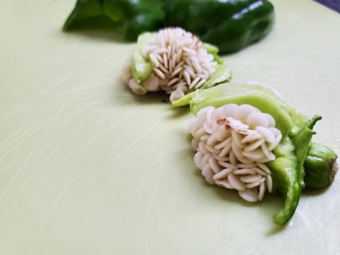 ピーマンのタネ、もう取らなくてOK！？実は丸ごと食べられる♡捨てがちな野菜のタネ3選