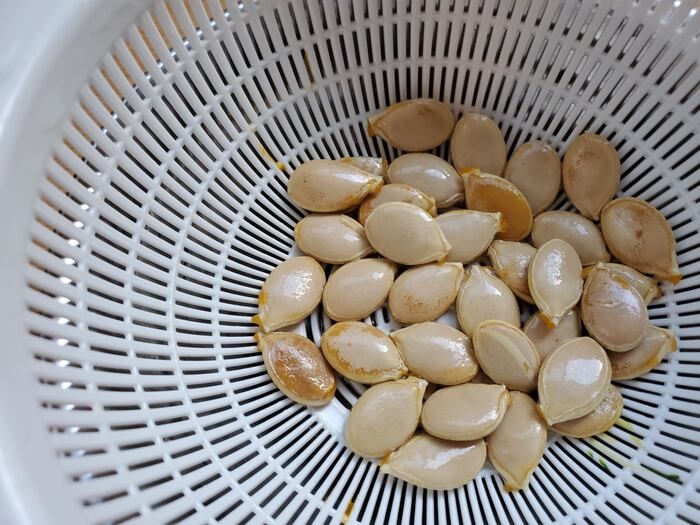 ピーマンのタネ、もう取らなくてOK！？実は丸ごと食べられる♡捨てがちな野菜のタネ3選