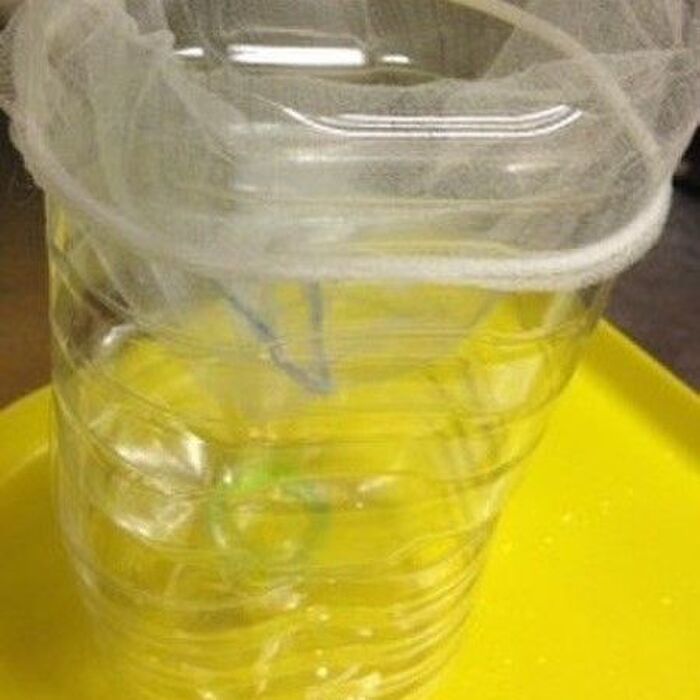 ペットボトルの〈空き容器〉がシンクで大活躍！水切れバツグンの優秀アイテムに大変身♪