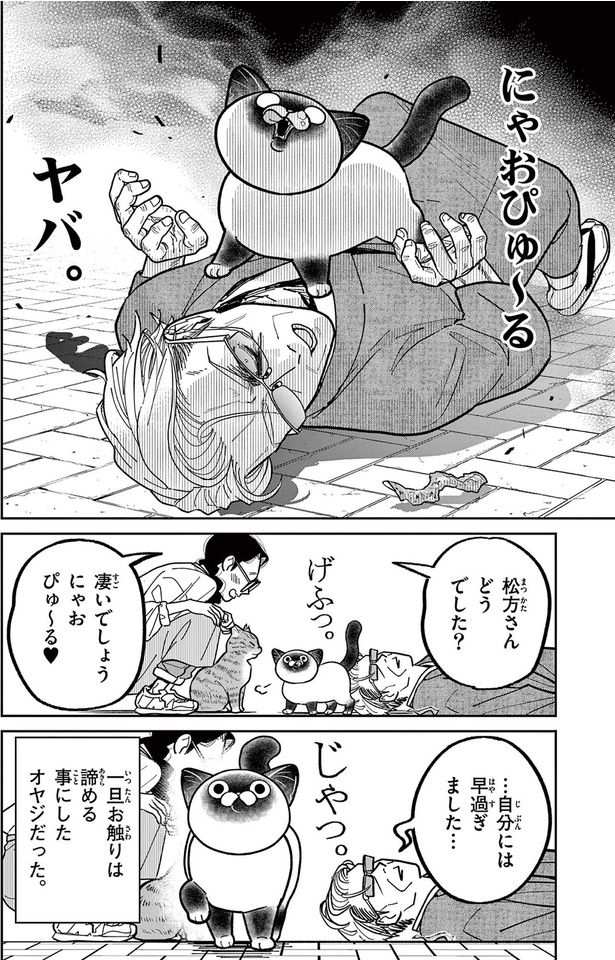 にゃおぴゅ～るヤバ （C）片倉頼／小学館