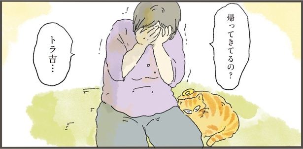 帰ってきてるの？トラ吉… （C）中山有香里／KADOKAWA