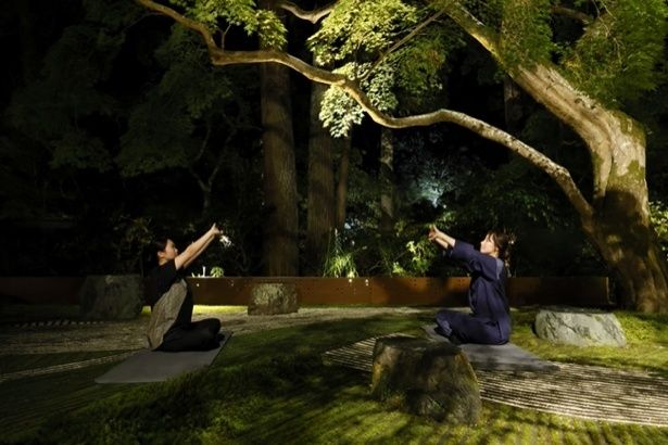 静寂な夜の中でのストレッチ