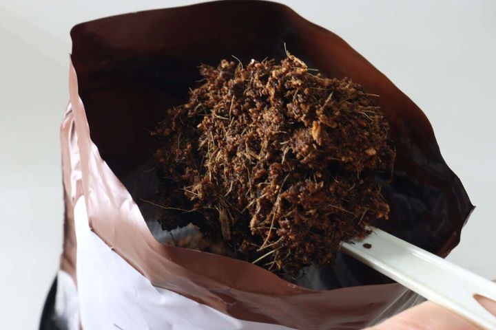 ダイソー 栽培セット コーンフラワー 土