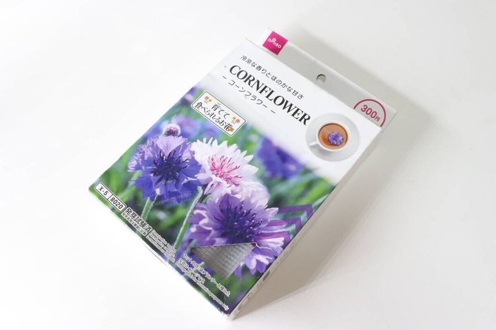 ダイソー 栽培セット コーンフラワー