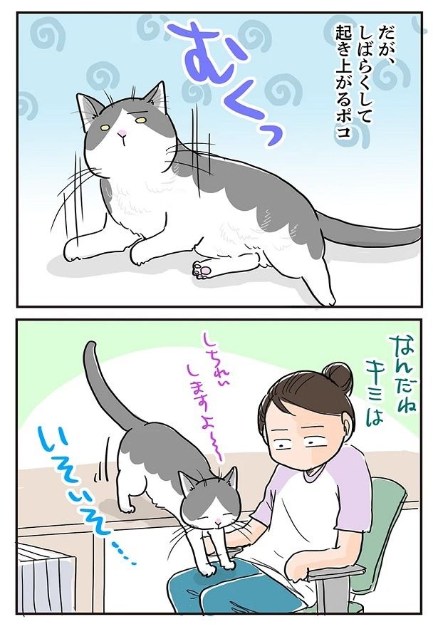 暑いのでクーラーを入れるとポッちゃんが反応！