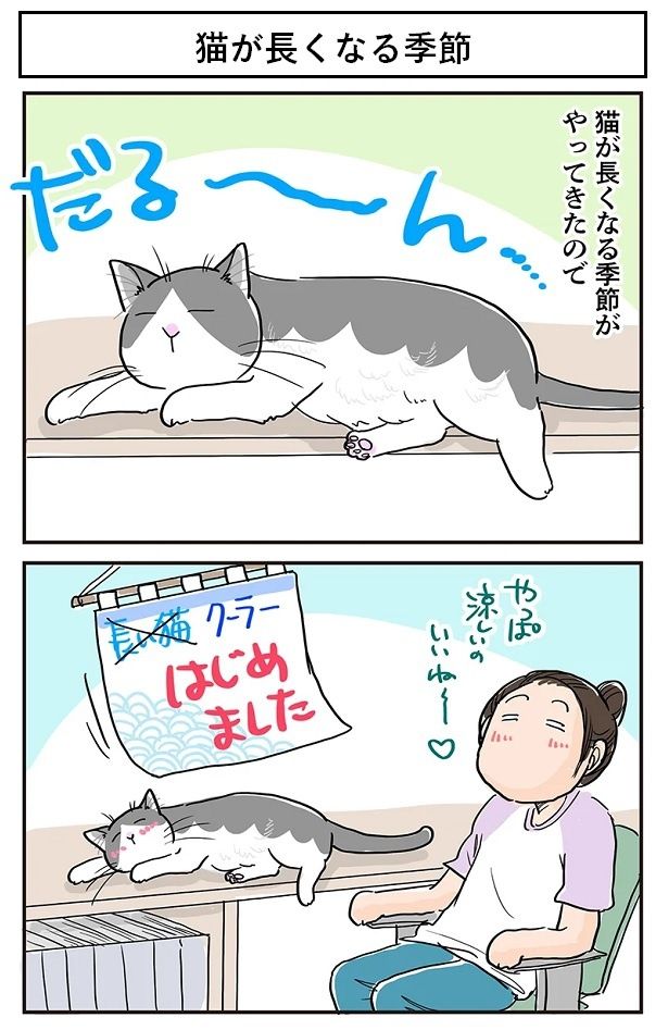 藤緒家では猫が長くなる季節がやってきた！