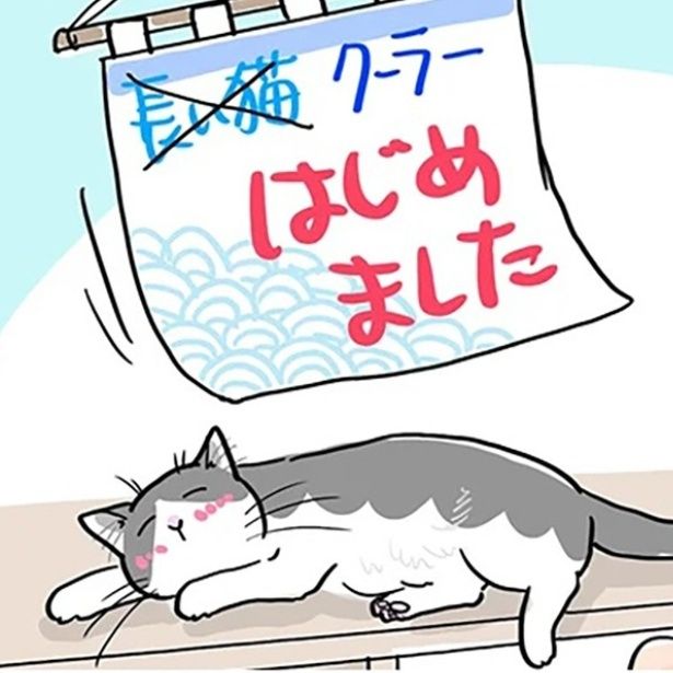 長くなった猫 取材協力：藤緒ミルカ(@mirumirupakupa1)
