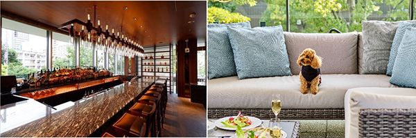 【東京都港区】テラス席でも利用可能に！「IL LUPINO PRIME」のハッピーアワーがリニューアル