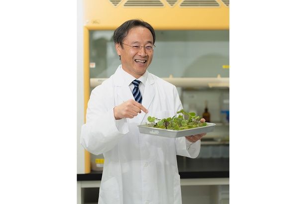 わさび研究の第一人者である、金印株式会社開発本部本部長／機能性ビジネス研究所所長の奥西勲さん 【画像提供＝金印株式会社】