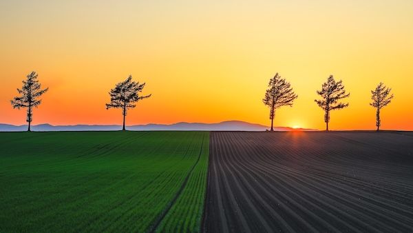 テーマは「“農”っていいね」。オーレックが「第九回 草の日フォトコンテスト」を開催