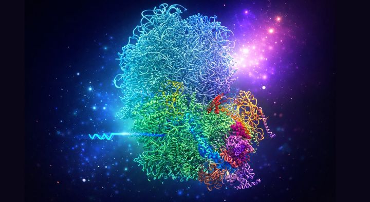 「DNAには第2のコード」が存在すると判明――遺伝子を密かに黙らせる隠し指令機構の正体